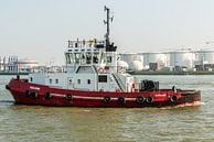 Sleepboot Texelbank Rotterdam par Brian Morgan Aperçu