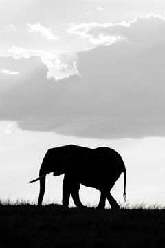 Silhouet van olifant in zwart-wit van Poster Art Shop