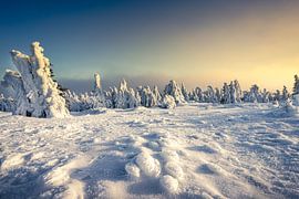 Winter games on the Brocken by Steffen Henze