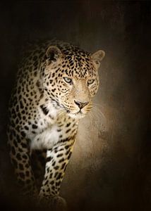 Leopard von Diana van Tankeren