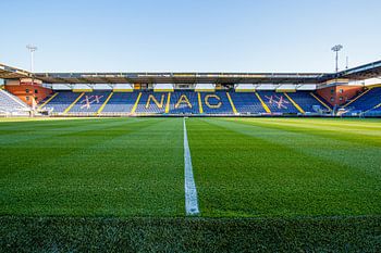 Het veld van het Rat Verlegh Stadion
