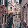 De kanalen van Venetië van Een Wasbeer