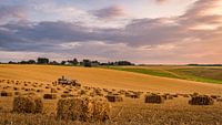 Ballots de paille du Limbourg méridional sous le soleil du soir
