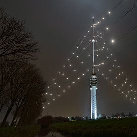 De grootste Kerstboom van de wereld schittert weer over Utrecht