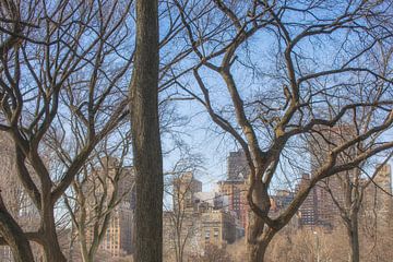 Central Park New York City by Marcel Kerdijk