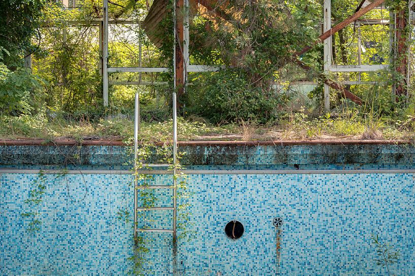 Het laddertje van een Vervallen Zwembad van Perry Wiertz