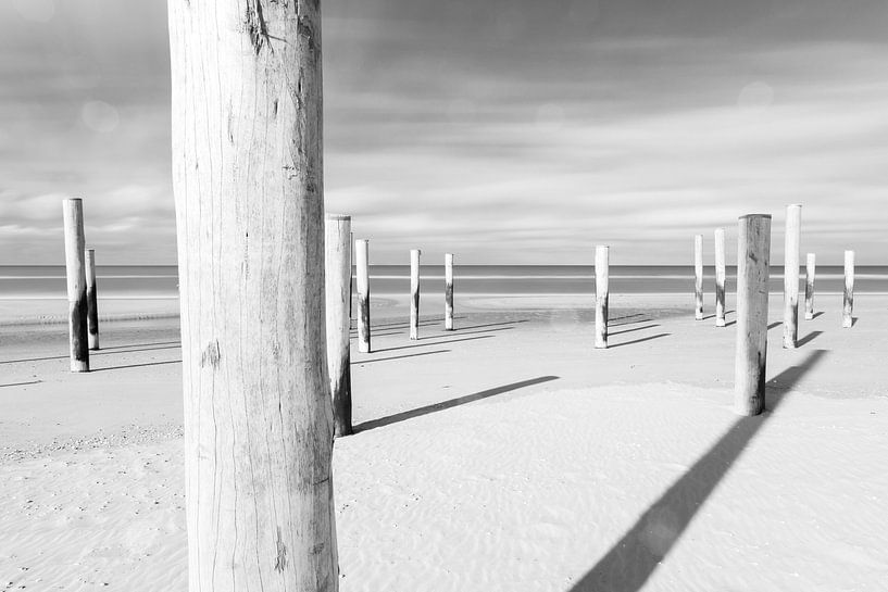 Palendorp Petten by Casper Smit
