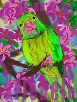 Spring fever