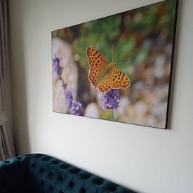 Photo de nos clients: Petit papillon perlé par Karin Jähne, sur art frame
