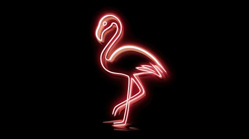 Flamingo roze neon panorama