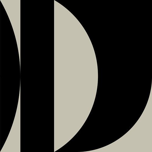 Zwarte Abstracte Geometrische Vormen nr. 7