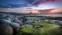 Rotsblokken en zeewier aan Ierse kust tijdens zonsondergang