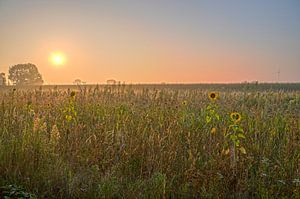 Sonnenaufgang am Morgen von John Linders