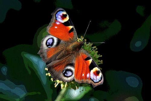 Vlinder van Teun Huisman