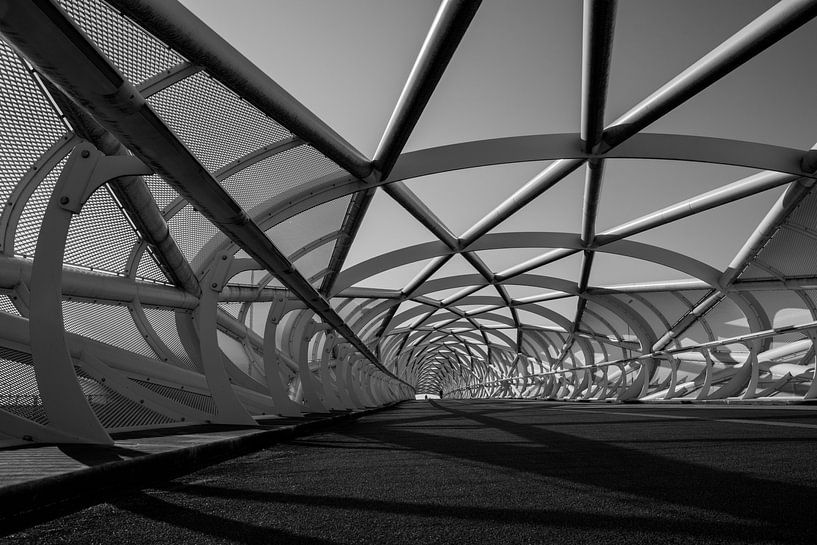 (fiets) brug  Groene Verbinding zwart/wit perspectief 2 van Manon Ruitenberg