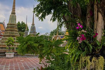 Thais Tempelcomplex in het groen