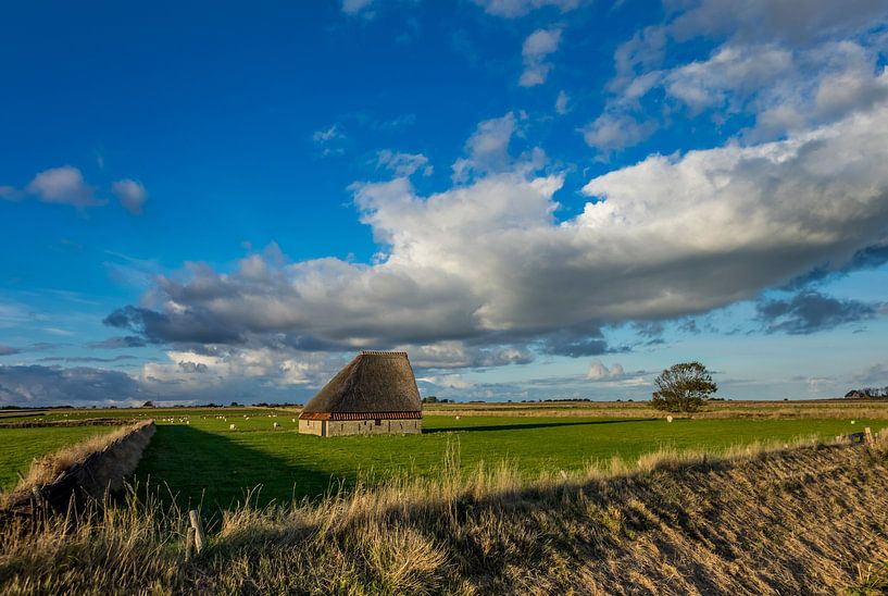 Cage à moutons Texel par Texel360Fotografie Richard Heerschap
