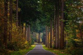 Road to auttumn van John Goossens Photography
