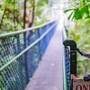 Am Eingang des TreeTop Walks in Singapur von Barbara Riedel