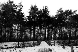 Brücke von Emma Wilms