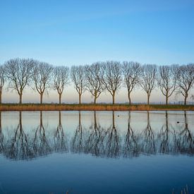 Trees  reflection von Wilma van Zalinge