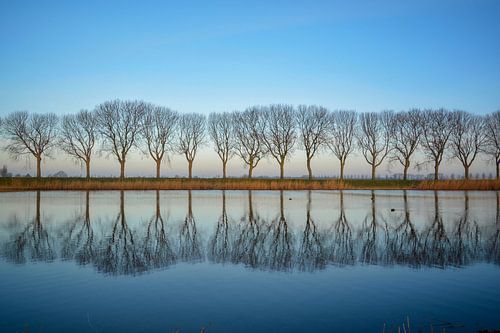 Weerspiegelende bomen langs de ringvaart