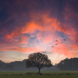 Sonnenuntergang mit Baum von Arie Flokstra Natuurfotografie