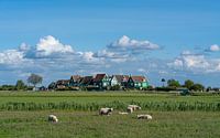 Marken von Jeroen Kleiberg Miniaturansicht