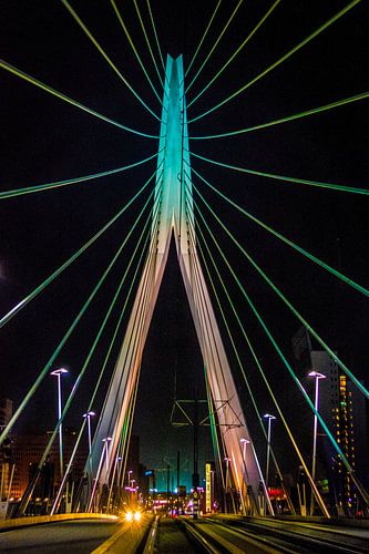 Erasmusbrug Rotterdam