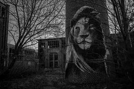 Old abandoned potato flour factory by Dani Mulder