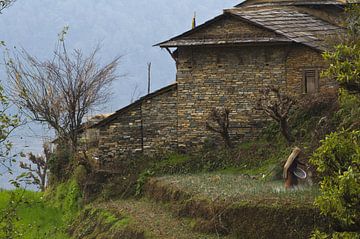 Pastorales Bauernhaus mit einem Gemüse von Michael Semenov