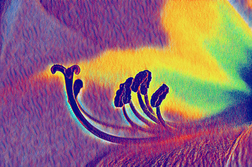Neon Blossom Energy