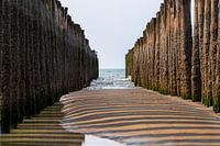 Paalhoofden op het strand