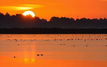 Zonsopkomst in Lauwersmeer van Remco Van Daalen