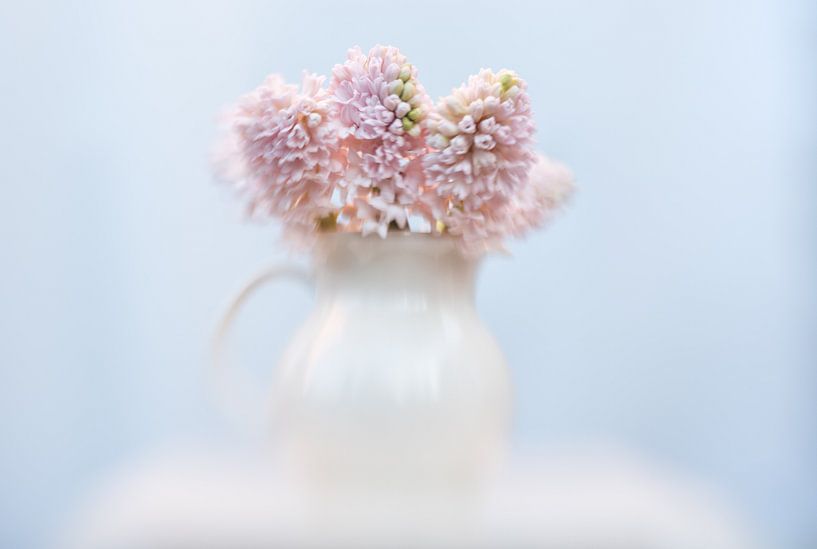 Roze hyacint van Alexandra Bijl
