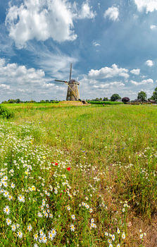 Beltmolen De Heimolen, Sint Hubert, , Noord-Brabant, Nederland