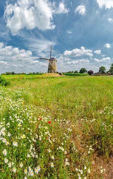 Towermill De Heimolen, Sint Hubert, , Noord-Brabant, Netherlands by Rene van der Meer