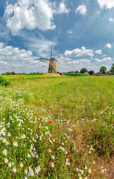 Beltmolen De Heimolen, Sint Hubert, , Noord-Brabant, Pays-Bas par Rene van der Meer