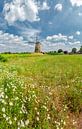 Beltmolen De Heimolen, Sint Hubert, , Noord-Brabant, Pays-Bas par Rene van der Meer Aperçu