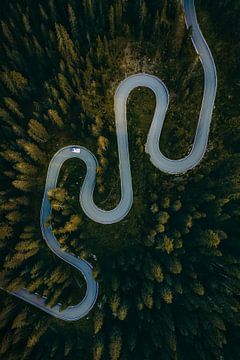 Snake Road Dolomites by Marianne Voerman