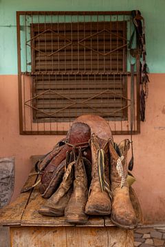Lernen, das spricht von Ingrid Koedood Fotografie