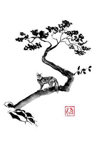 wilde kat in de boom