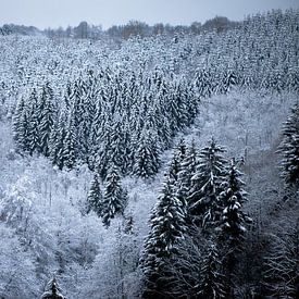 Wintersprookje van Olga Rook