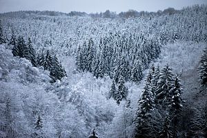 Wintersprookje van Olga Rook