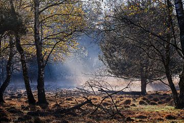 Le soleil sur le Regte Heide sur Geert van Atteveld