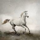 Weißes Pferd in abstrakter Aquarell-Landschaft von Diana van Tankeren Miniaturansicht