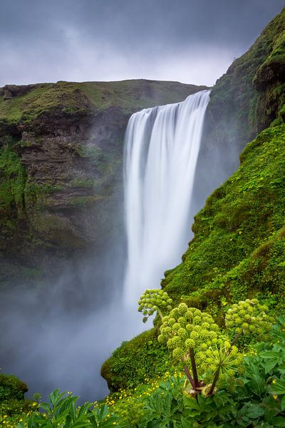 Skogafoss van Steven Driesen