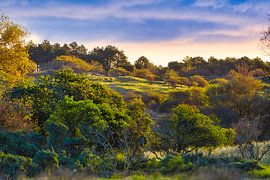 Landscape dunes by WeVaFotografie