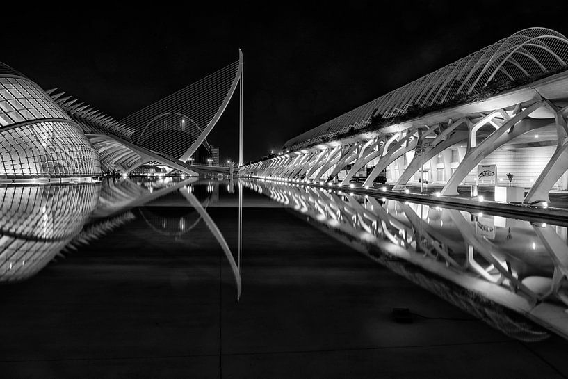 Ciudad de las Artes y las Ciencias by Tilly Meijer
