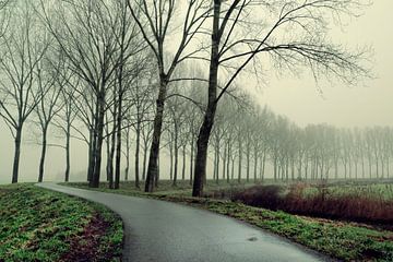 mist in Etten-Leur 2025 van Egon Zitter